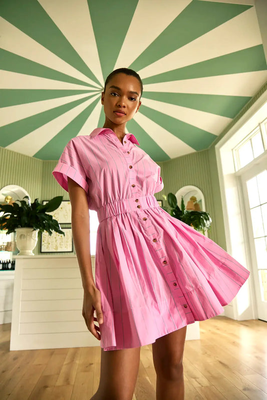Howard Dress - Watermelon Stripe