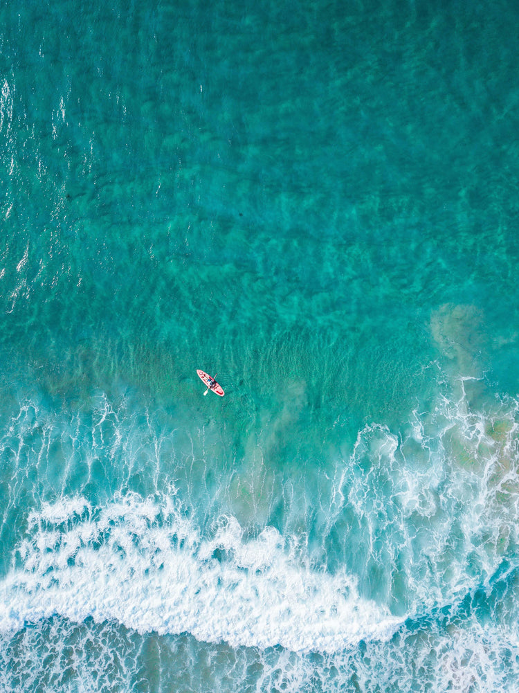 Cruelty Free, Sustainable, Fair Trade, Organic Products