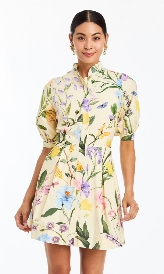Brooklyn Mini Dress