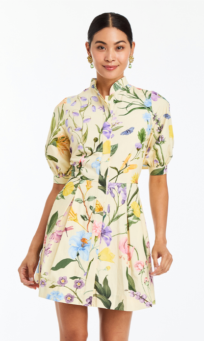 Brooklyn Mini Dress
