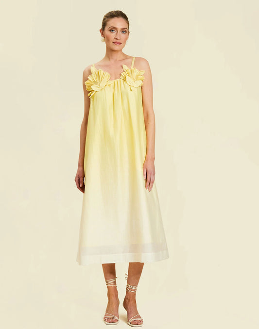 knee length dresses for ladies Clara Midi Dress